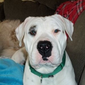 Meet your Posher, Bethany